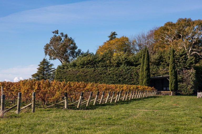 Photo of property in 322 Middle Renwick Road, Springlands, Blenheim, 7271