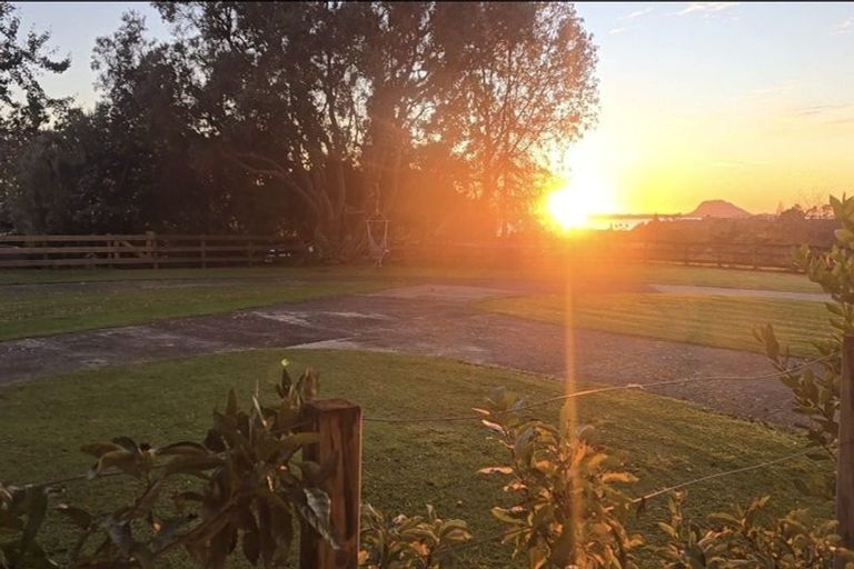 Photo of property in 195 Plummers Point Road, Whakamarama, Tauranga, 3172