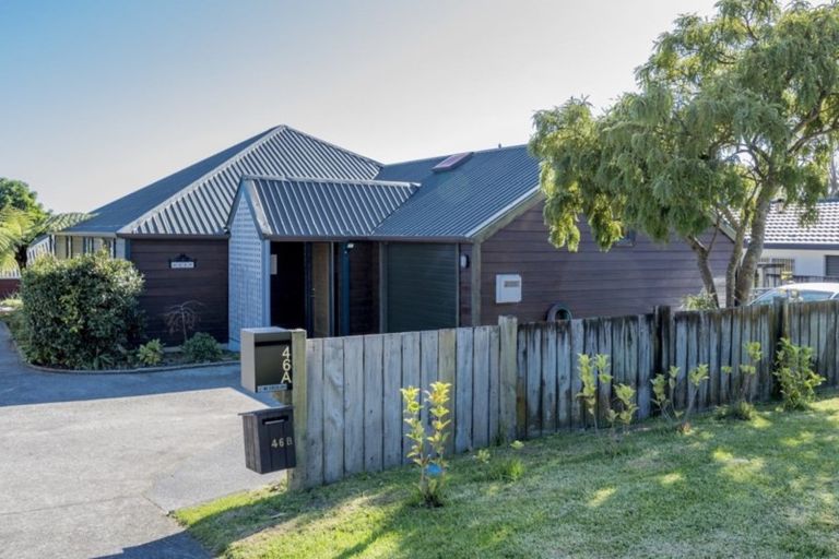 Photo of property in 46a Seddon Street, Waikanae, 5036