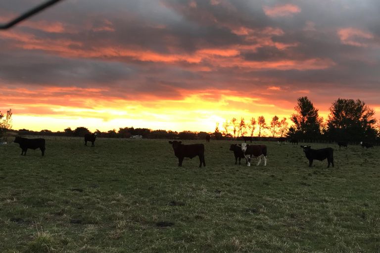 Photo of property in 55 The Strand, Fitzherbert, Palmerston North, 4410