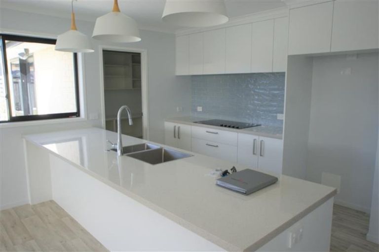 Photo of property in 239 Taylor Pass Road, Witherlea, Blenheim, 7201