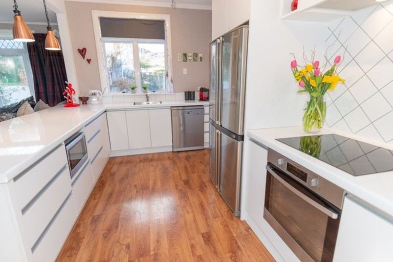 Photo of property in 111 Tarbert Street, Alexandra, 9320