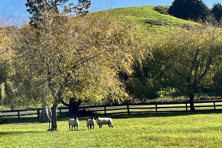 Photo of property in 42 Westminster Glen, Matakana, Warkworth, 0985