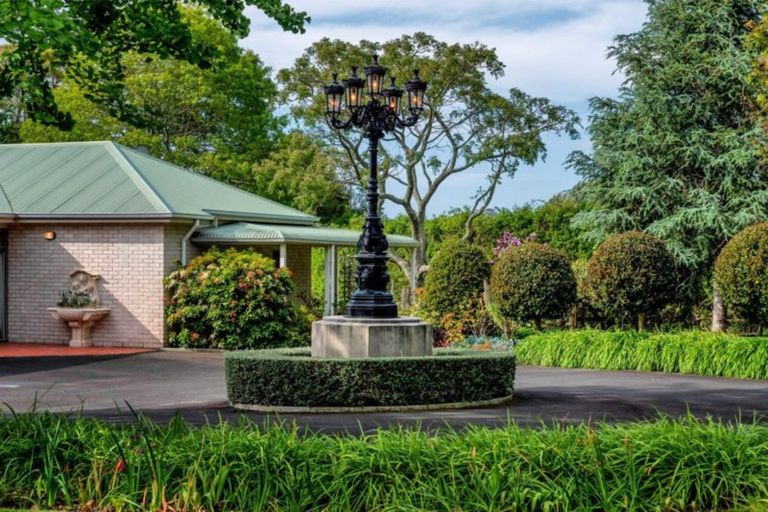 Photo of property in 16 Plane Tree Lane, Tauriko, Tauranga, 3110