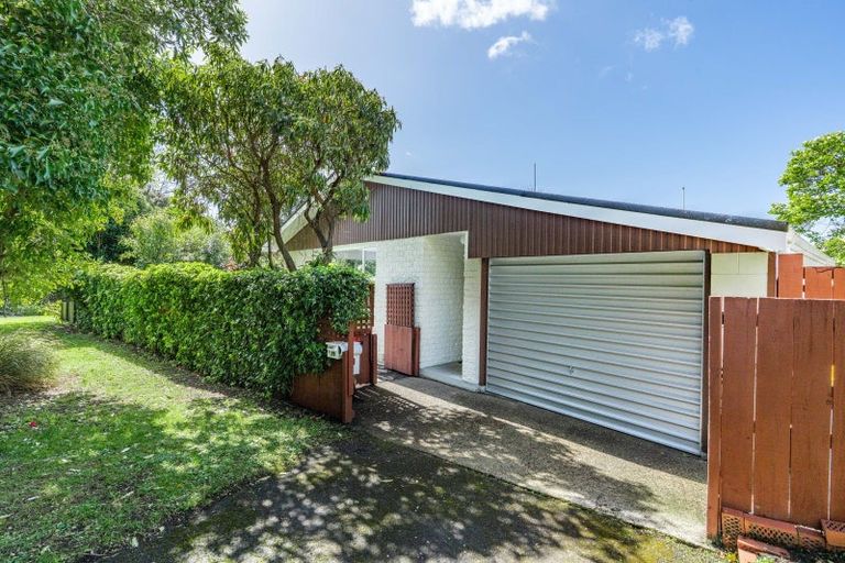 Photo of property in 15 Duchess Avenue, Dunedin Central, Dunedin, 9016