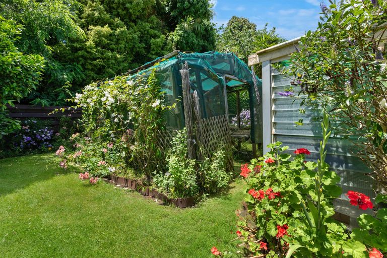 Photo of property in 6 Sanders Avenue, Morrinsville, 3300