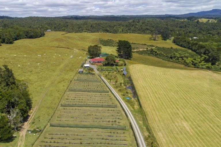 Photo of property in 137 Ross Road, Whakamarama, Tauranga, 3179