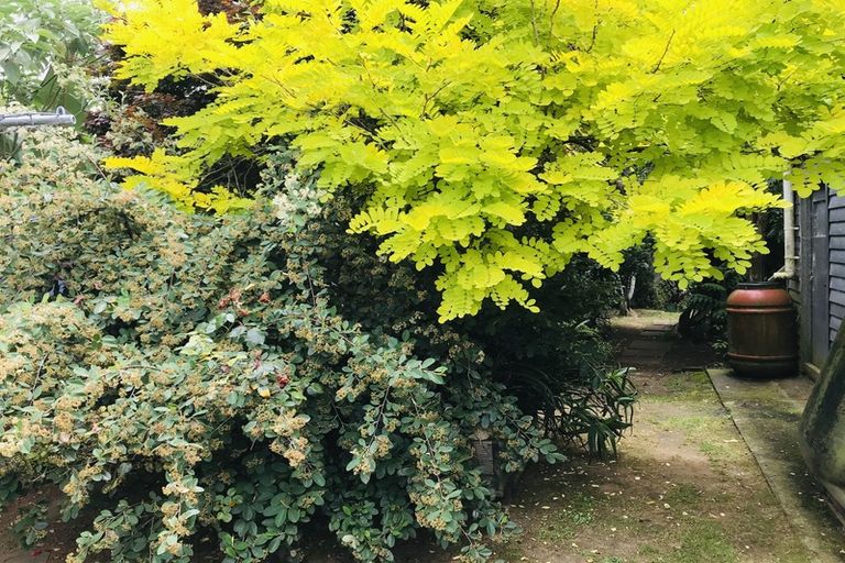 Photo of property in 101 Otiria Road, Moerewa, 0211