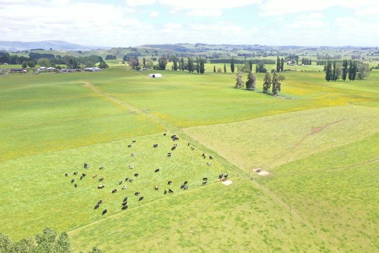 Photo of property in 912 Ngahape Road, Maihiihi, Te Awamutu, 3873