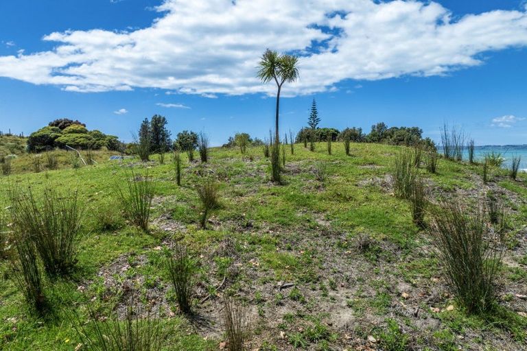Photo of property in 39 Happy Jacks Road, Mahia, 4198