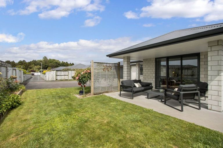 Photo of property in 11 Nolan Place, Katikati, 3129