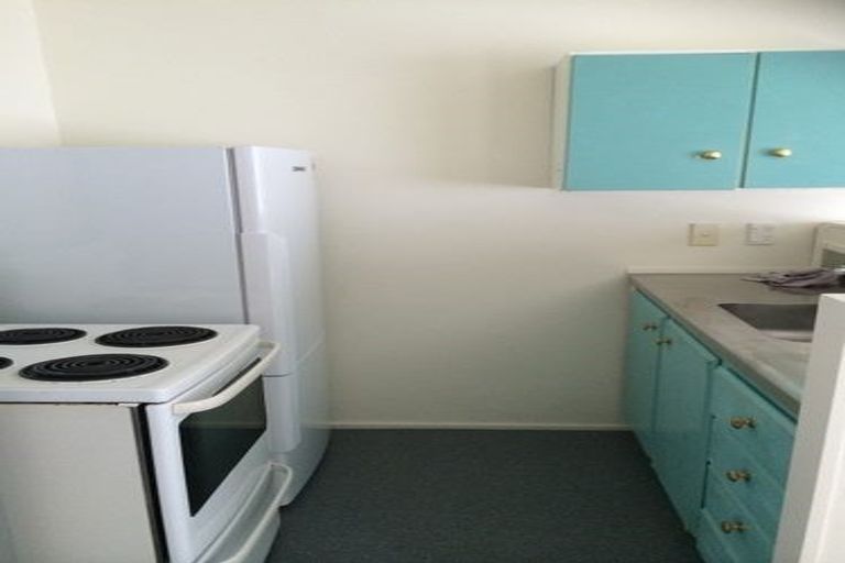 Photo of property in 43 Honiana Te Puni Street, Aro Valley, Wellington, 6021