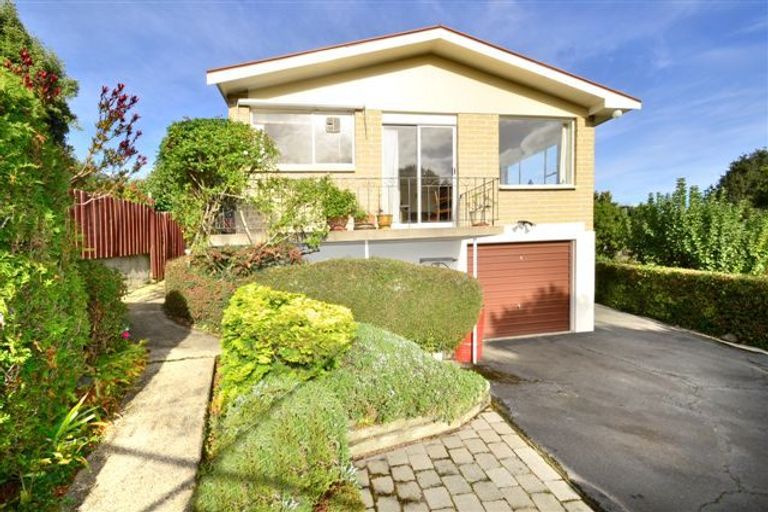 Photo of property in 17a Signal Hill Road, Opoho, Dunedin, 9010