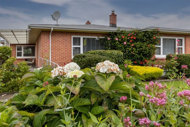 Photo of property in 71a Maxwell Road, Blenheim, 7201