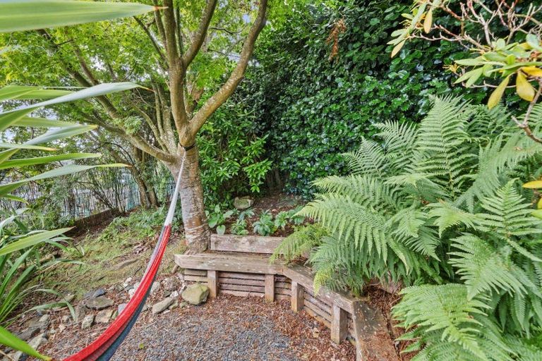 Photo of property in 51 Frame Street, North East Valley, Dunedin, 9010