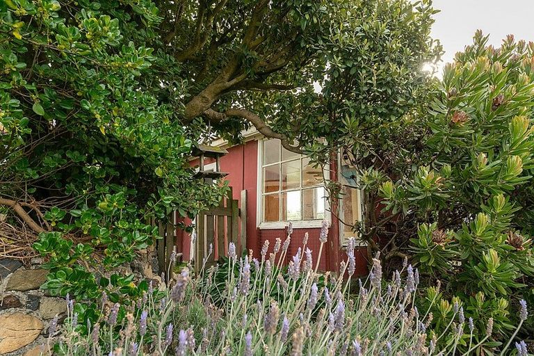 Photo of property in 16a Ocean Road, Ohope, 3121