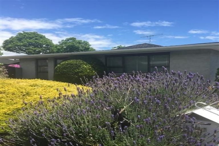 Photo of property in 1/152 Milton Street, The Wood, Nelson, 7010