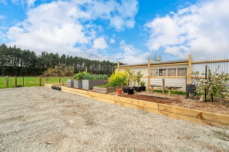 Photo of property in 24 Queen Street, Pareora, 7912