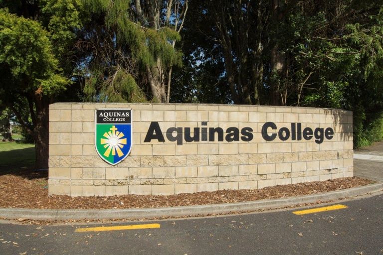 Photo of property in 24 Sauvignon Place, Pyes Pa, Tauranga, 3112