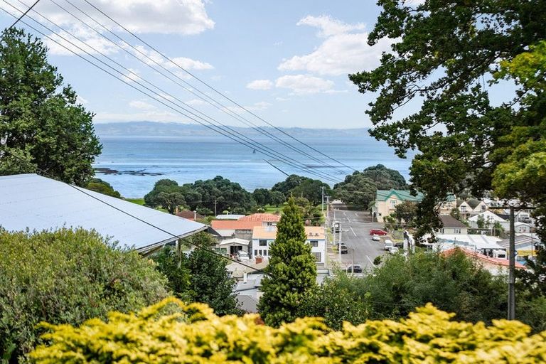 Photo of property in 503 Upper Albert Street, Thames, 3500