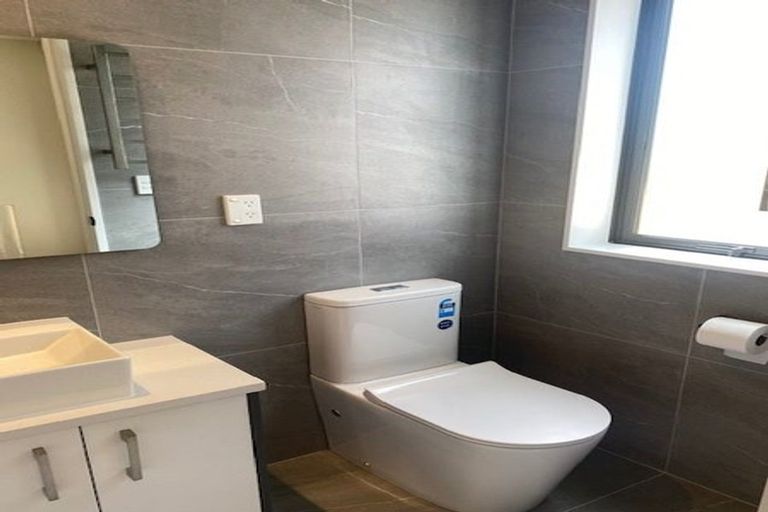 Photo of property in 53 Koromeke Street, Flat Bush, Auckland, 2019