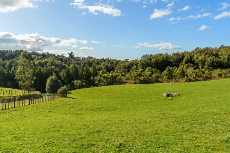 Photo of property in 771 Whakamarama Road, Whakamarama, Tauranga, 3179