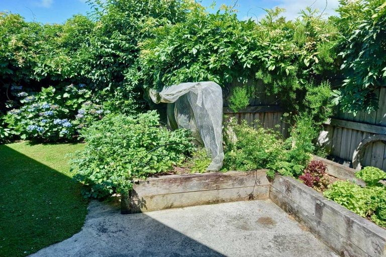 Photo of property in 114d Govett Avenue, Frankleigh Park, New Plymouth, 4310