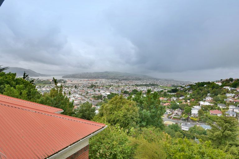 Photo of property in 63 Sidey Street, Calton Hill, Dunedin, 9012