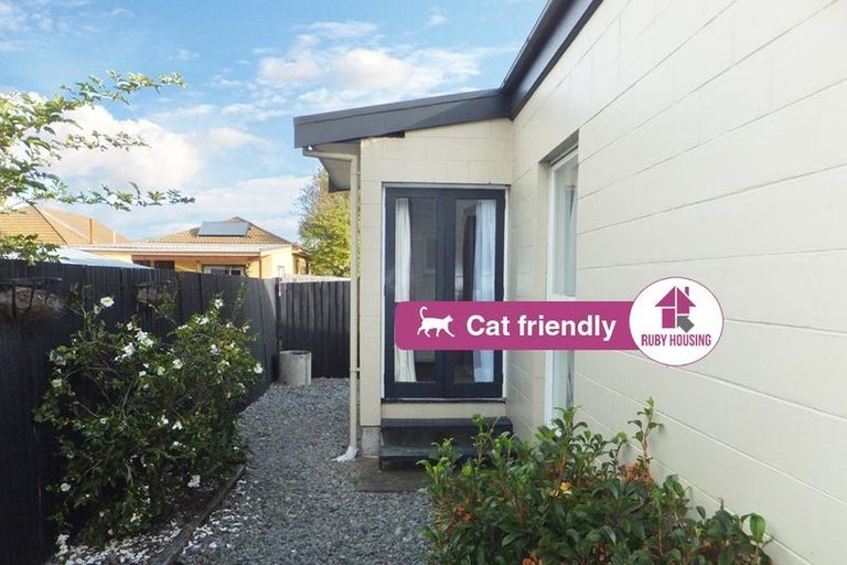 Photo of property in 8/23 Frederick Street, Waltham, Christchurch, 8011