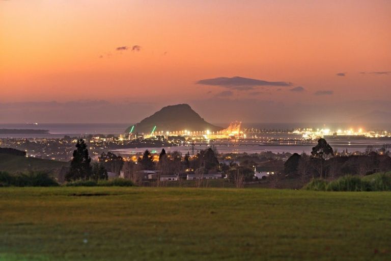 Photo of property in 80b Neewood Road, Ohauiti, Tauranga, 3173