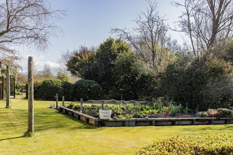 Photo of property in 168 Carters Road, Amberley, 7410