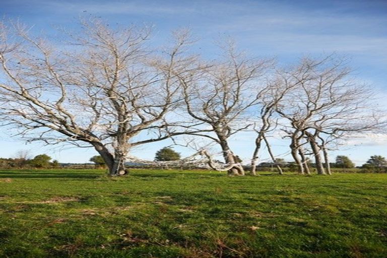 Photo of property in 1528a Pyes Pa Road, Oropi, Tauranga, 3173