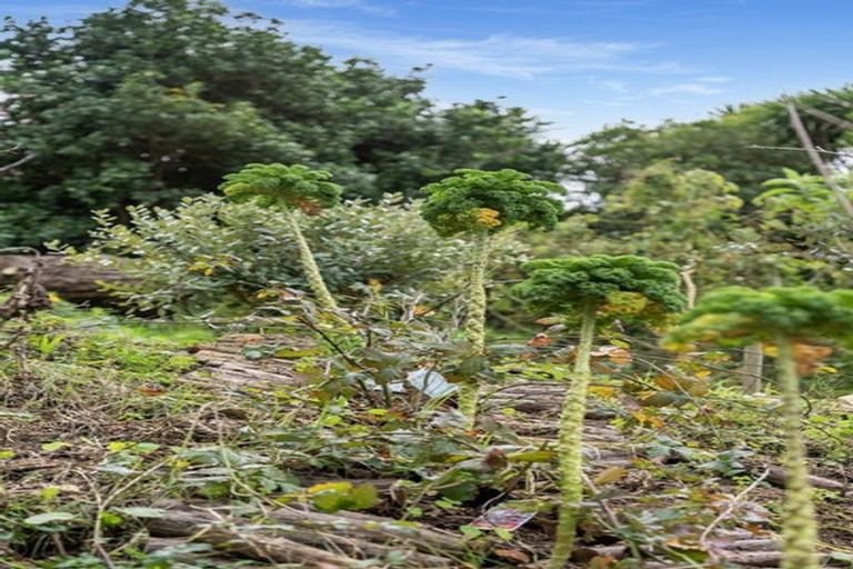 Photo of property in 116a Ridge Street, Otumoetai, Tauranga, 3110