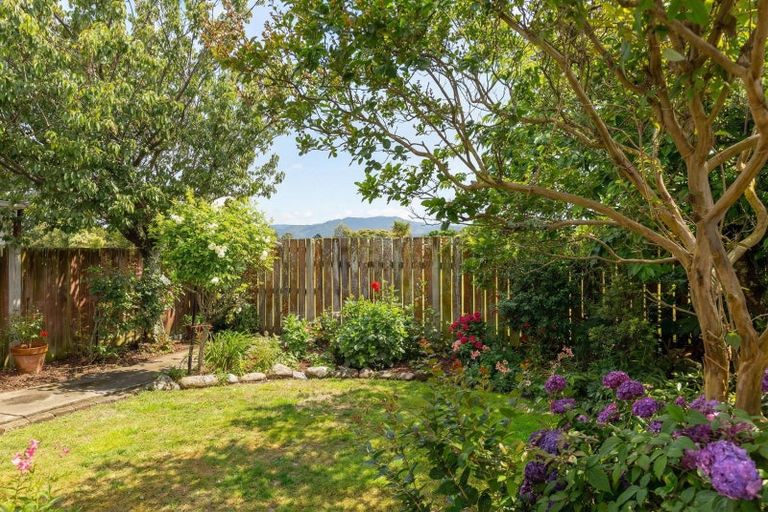 Photo of property in 12 Taverner Street, Carterton, 5713