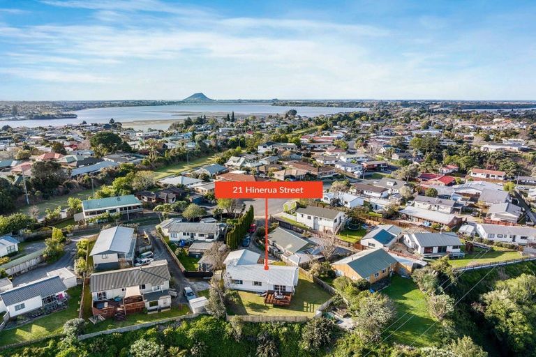 Photo of property in 21 Hinerua Street, Maungatapu, Tauranga, 3112