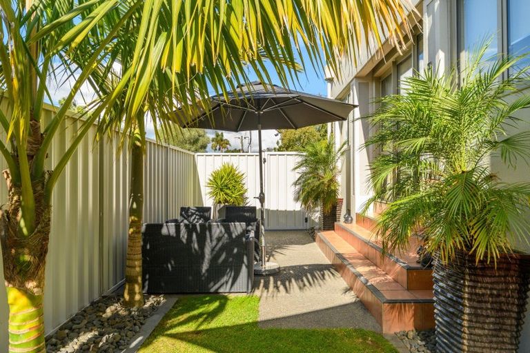 Photo of property in 19a Grace Road, Tauranga South, Tauranga, 3112