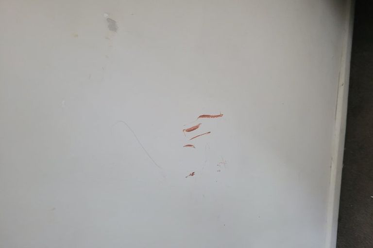 Photo of property in 39a Takanini Road, Takanini, 2112