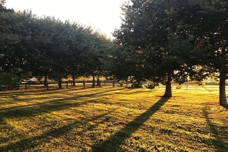 Photo of property in 100 Rowley Crescent, Grovetown, Blenheim, 7202