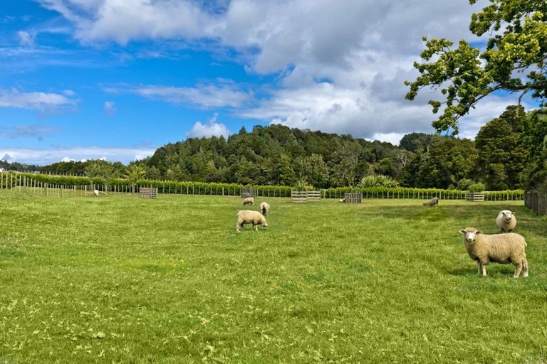 Photo of property in 1162 Weranui Road, Wainui, Silverdale, 0994
