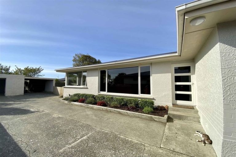 Photo of property in 15 Rowan Street, Hargest, Invercargill, 9810
