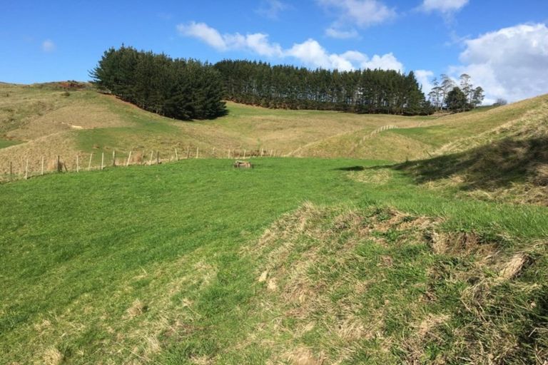 Photo of property in 202 Kellyville Road, Mercer, 2474