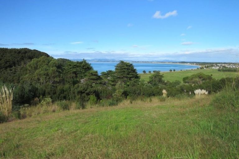 Photo of property in 12 Akeake Crescent, Karikari Peninsula, 0483