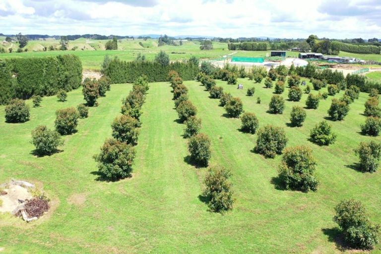 Photo of property in 718 Old Coach Road, Pongakawa, Te Puke, 3186