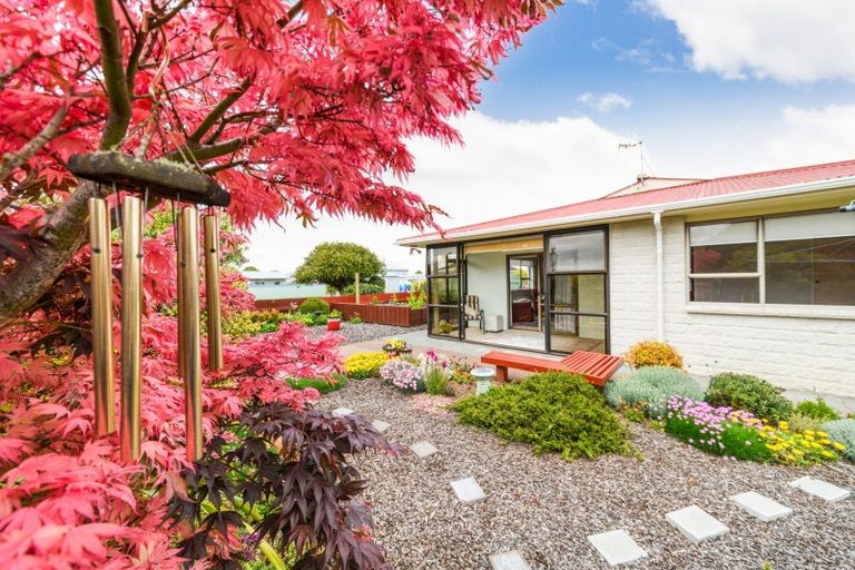 Photo of property in 16a King Street, Feilding, 4702
