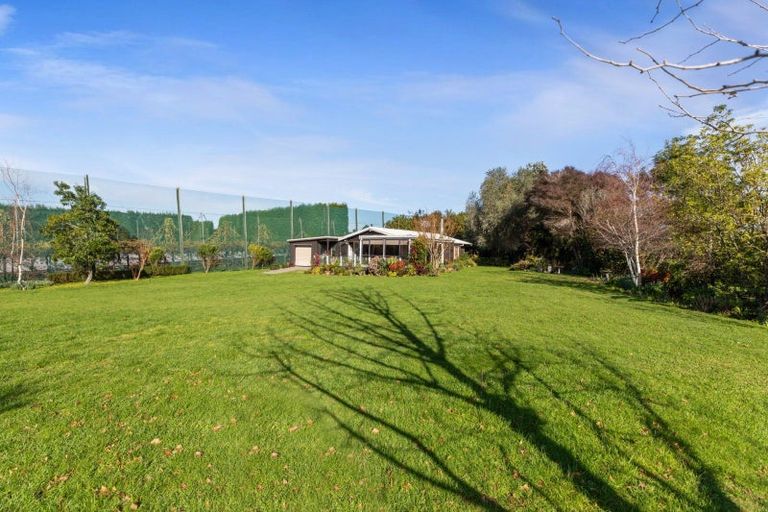 Photo of property in 3 Donelle Place, Te Puke, 3119