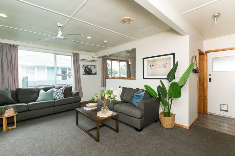 Photo of property in 52 Leicester Avenue, Tamatea, Napier, 4112