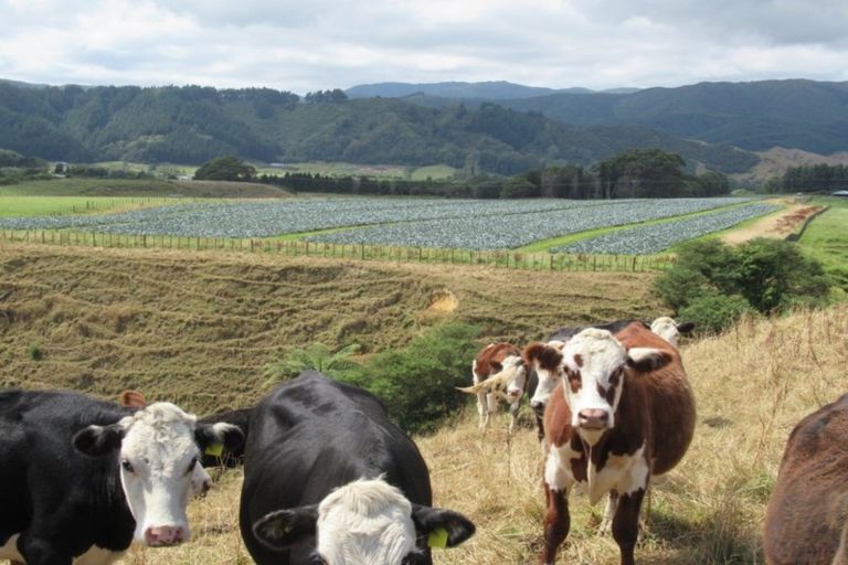 Photo of property in 1272 State Highway 1, Manakau, Otaki, 5583