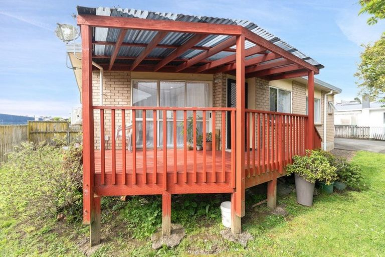 Photo of property in 55a Marion Avenue, Mount Roskill, Auckland, 1041
