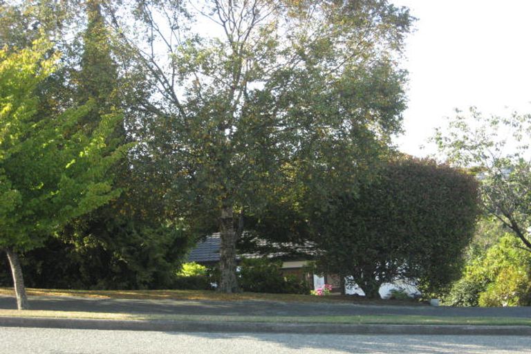 Photo of property in 165 Douglas Street, Highfield, Timaru, 7910