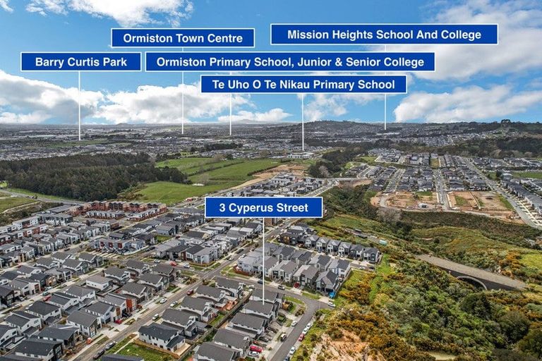 Photo of property in 3 Cyperus Street, Flat Bush, Auckland, 2019